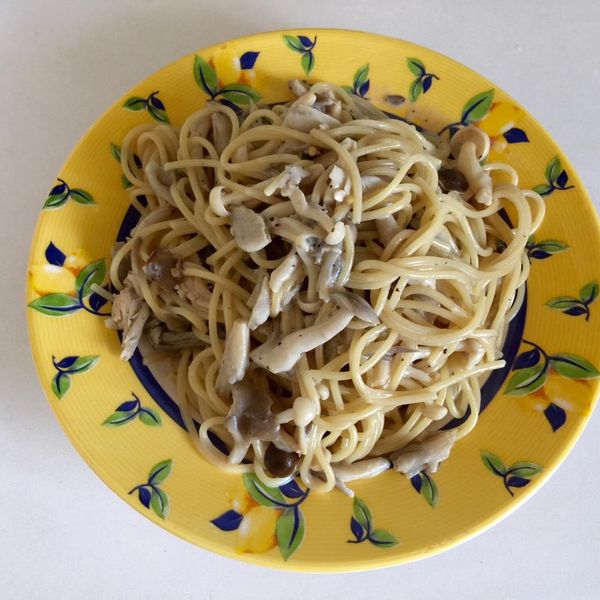 乳香義大利麵-光泉鮮乳：里奈 一起做