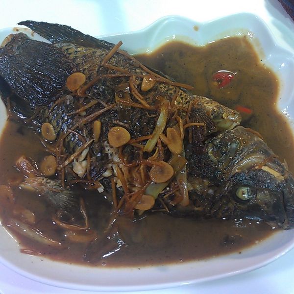 undefined：Ting Yu Wang 一起做