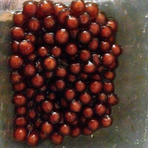 自製珍珠粉圓：王語彤 一起做