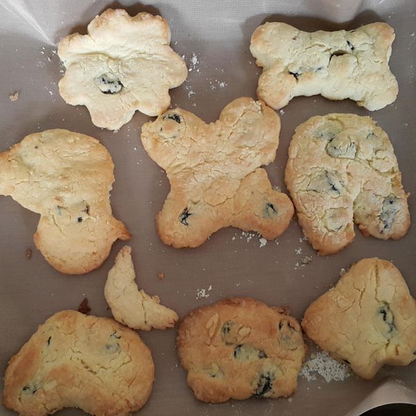 蔓越莓餅乾【鬆餅粉製作】：蔡淑君 一起做