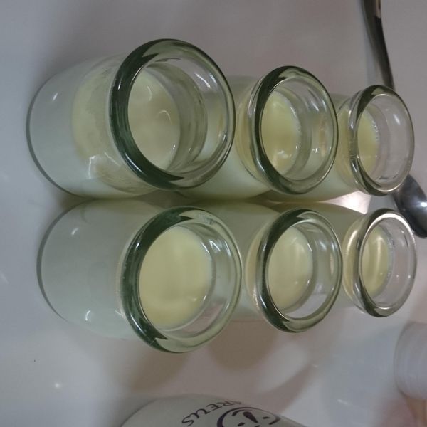 義式鮮奶酪 : Jolin Chou一起做