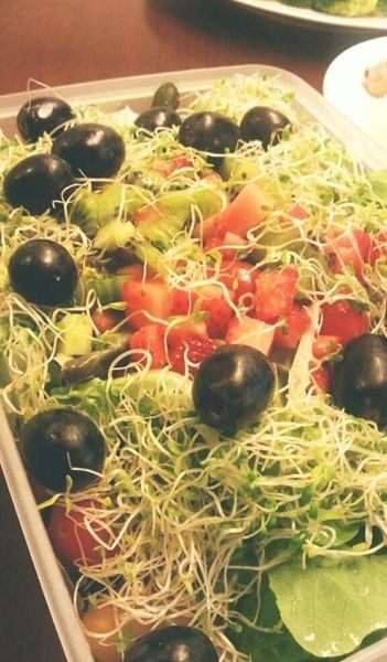有機田園沙拉（全素） : Mumu Lim一起做