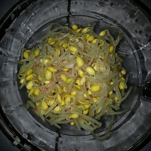 涼拌黃豆芽(清爽口味) : 王馨樺一起做