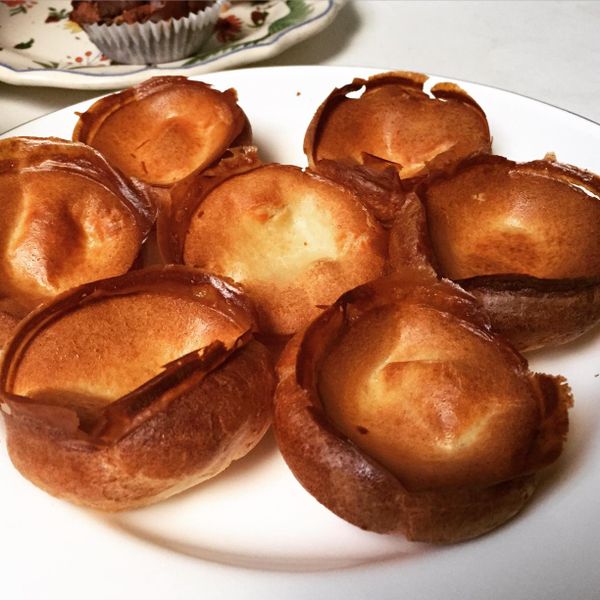 奧利佛~令人驚奇的約克夏布丁 : Via Cheng一起做