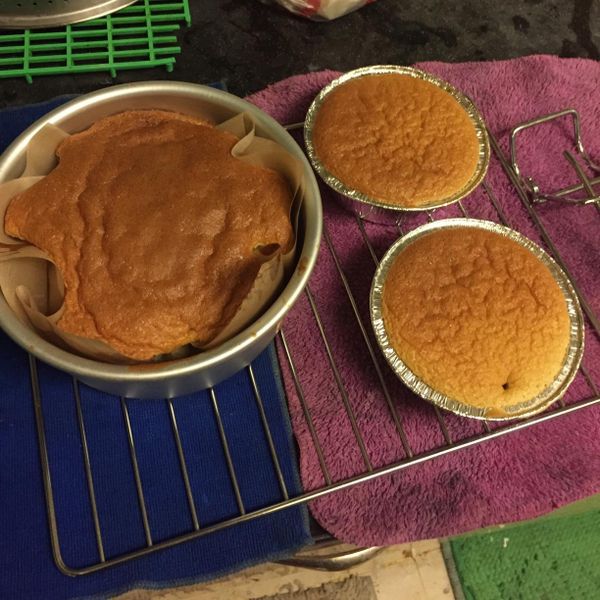 海綿蛋糕 : euniceyu一起做