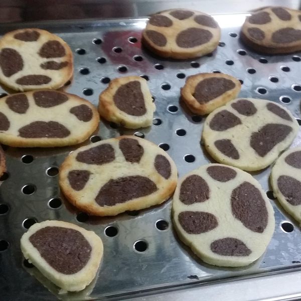 貓掌餅乾 : 莊筱菲一起做