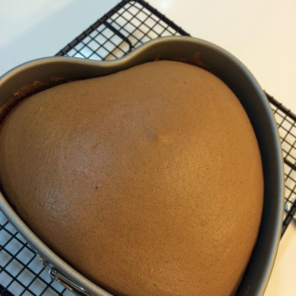 巧克力棉花蛋糕 : An Yu  Chung一起做