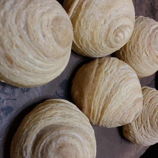 芋頭酥餅：侯秀 一起做