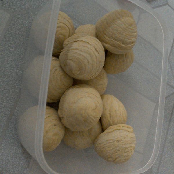 芋頭酥餅：Fanny 一起做