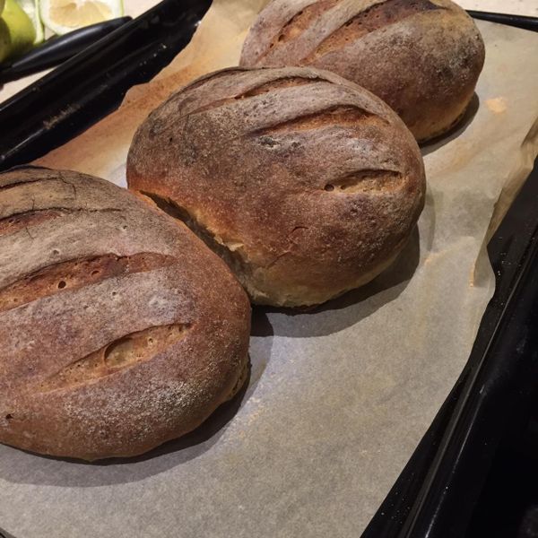 全麥法國麵包 : BEN BEN一起做