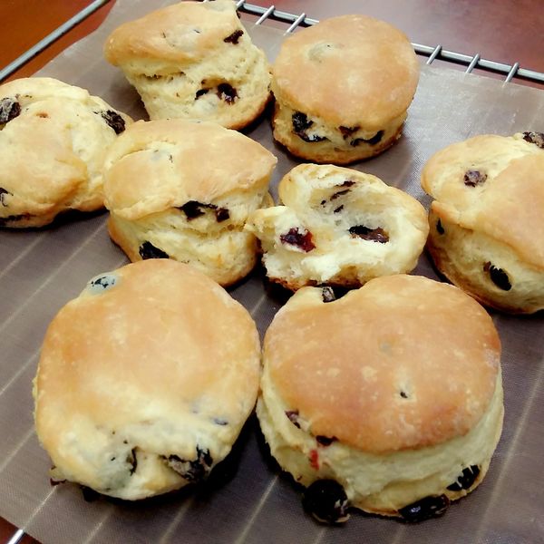 比司吉 : 蔡寶貞一起做