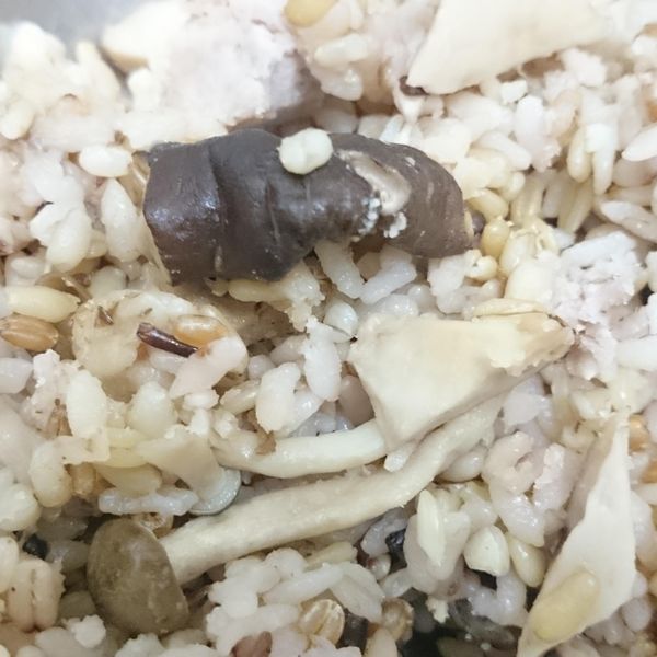 【電鍋食譜】野菇雞肉炊飯：Jamie Lin 一起做