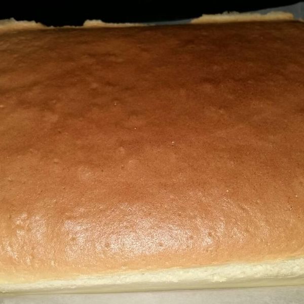 Minichang  Chen一起做