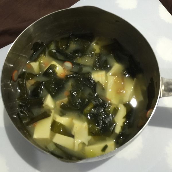 undefined：Pongo Lulu 一起做