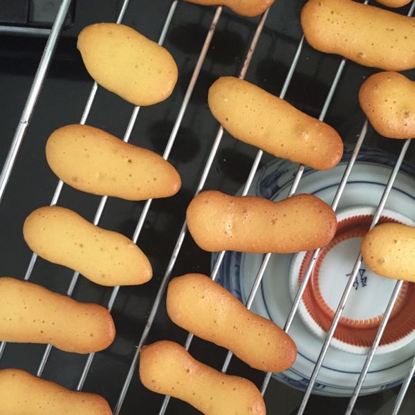 低糖無油無蓬鬆劑～手工孔雀餅乾 : 丫君一起做