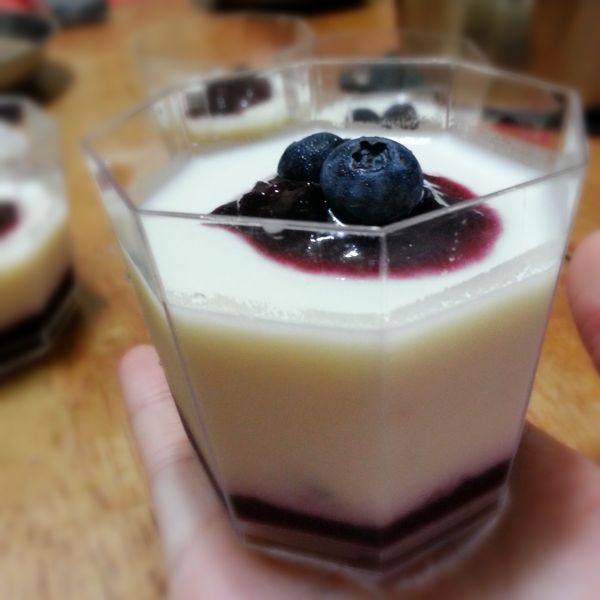 (免烤箱)莓果優格奶酪：Kazie Cheng 一起做