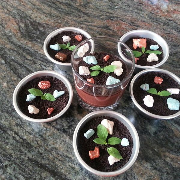 盆栽燉奶【大同電鍋】 : 林姿瑢一起做