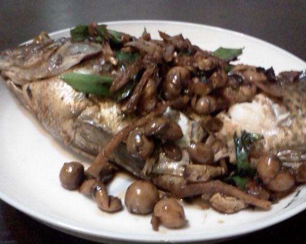 undefined：Shisheng  Yang 一起做