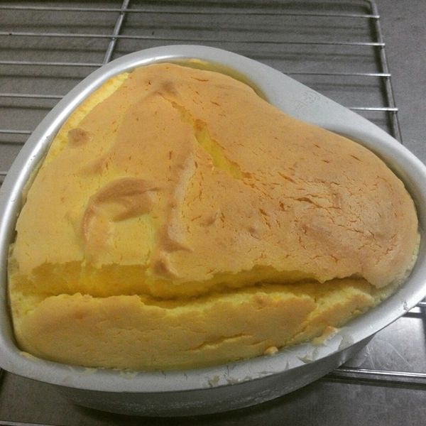 輕乳酪蛋糕:菊花大師 一起做