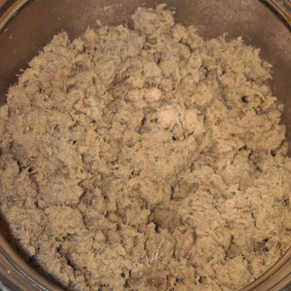 自製健康肉鬆[Panasonic製麵包機]：pipi 一起做