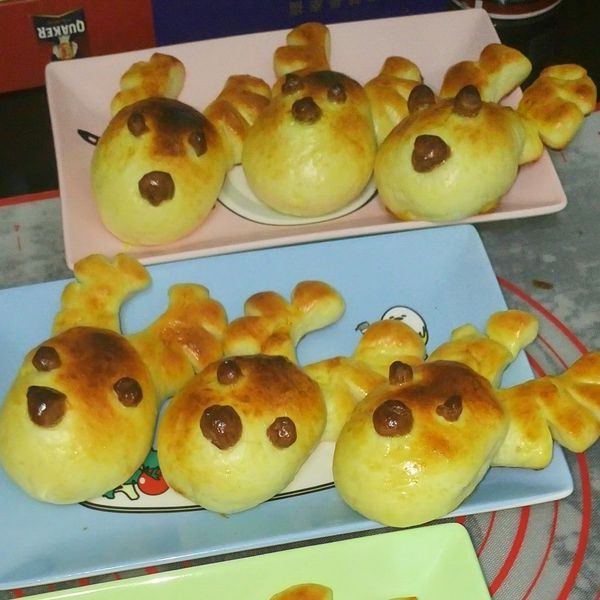 undefined：仙人掌 一起做