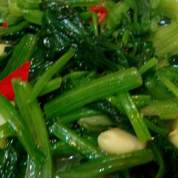 Shisheng  Yang一起做