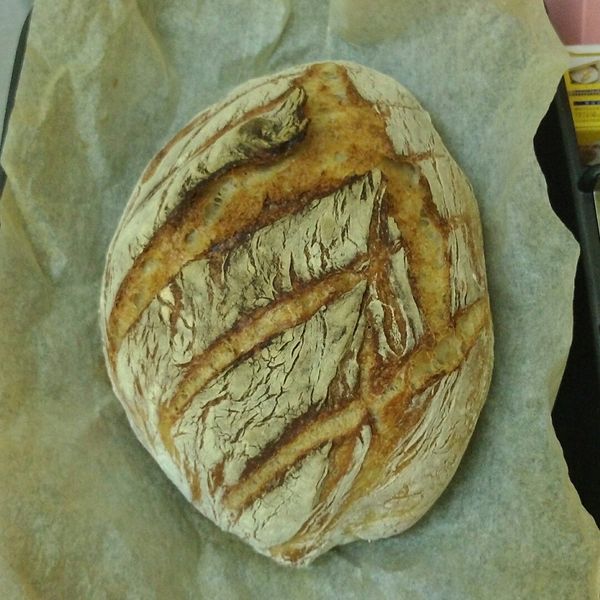 免揉大圓歐包（鑄鐵鍋）砂鍋、康寧鍋也行 : 黃建銘一起做