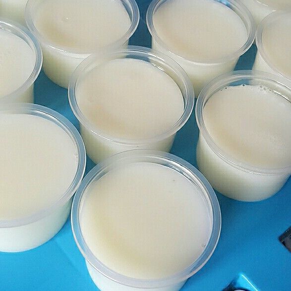 undefined：翁惠珊 一起做