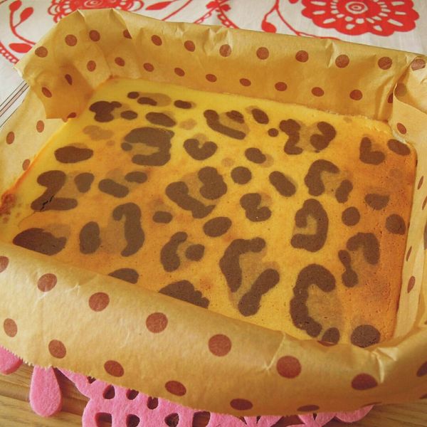 豹紋起司蛋糕 : 陳玟涵一起做