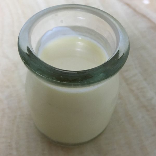 雞蛋布丁：Su Wen 一起做