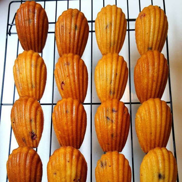 undefined：Mina Ti Ho 一起做