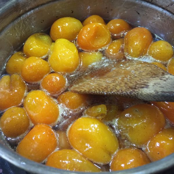 蜜金棗 : 邱資晴一起做