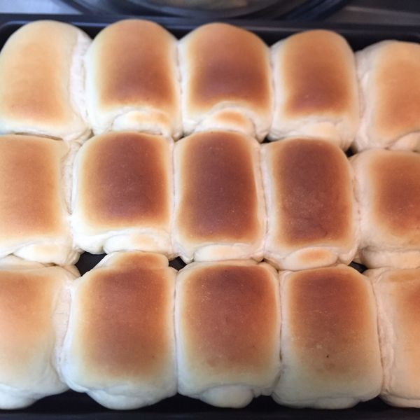 軟綿優格餐包【烘焙展食譜募集】：apple 一起做