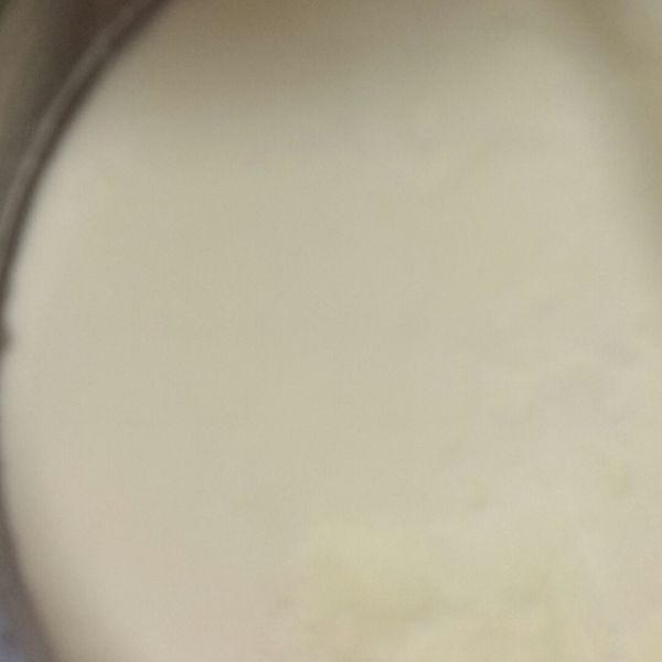 自製『原味優格』電鍋版：賴淑芬 一起做