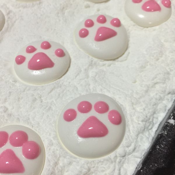 貓掌棉花糖：小菁林 一起做