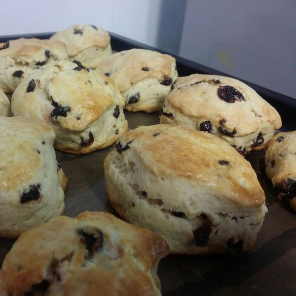 蔓越莓優格司康 : 帆一起做