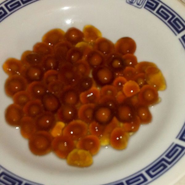 Tapioca Boba-自製珍珠粉圓♥:李茂松 一起做