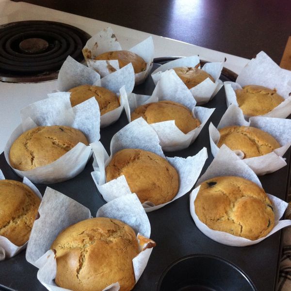 藍莓馬芬🎶 : Fu Jing Ting一起做