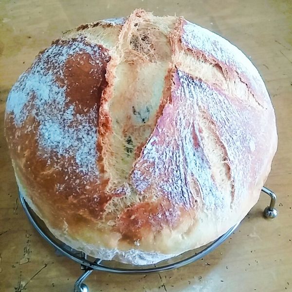 免揉葡萄乾鄉村麵包:Lily Shen 一起做