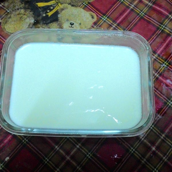 自製優格［電鍋版］：張婉琪 一起做