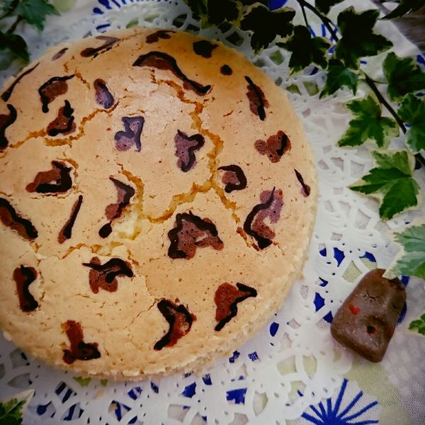 豹紋蜂蜜棉花蛋糕，潮翻啦! : 莊雅喻一起做