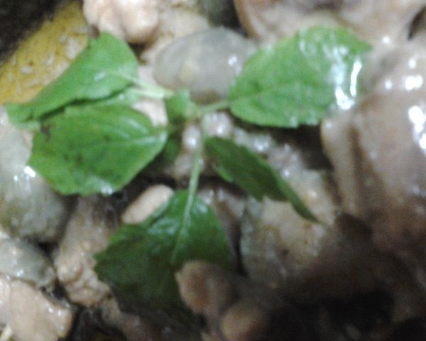 穀盛綠咖哩-『綠咖哩椰汁雞』 : 貓貓凱蒂一起做