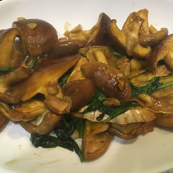 三杯杏鮑菇─全聯料理王大賽 : 江蕎蓁一起做