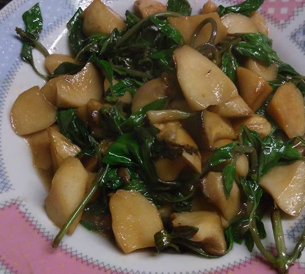 塔香杏鮑菇 : 蘭心一起做