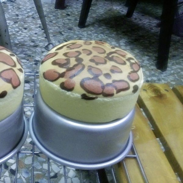 豹紋蜂蜜棉花蛋糕，潮翻啦! : 葉卉雯一起做