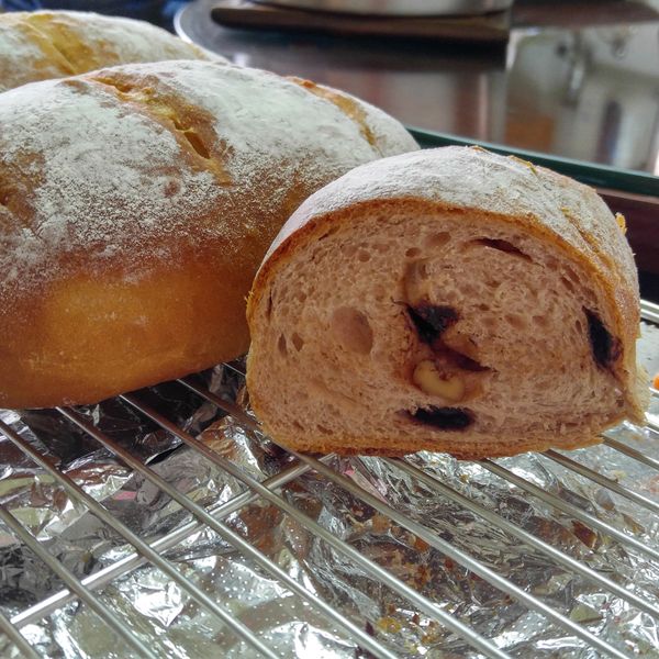 undefined：Lynn Wen 一起做