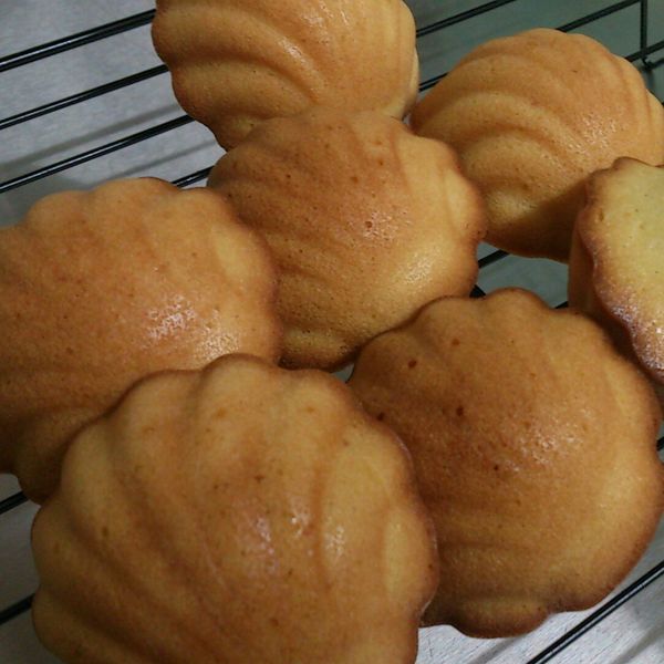 馬德蓮~香草蜂蜜 : 莘蒂小廚房一起做