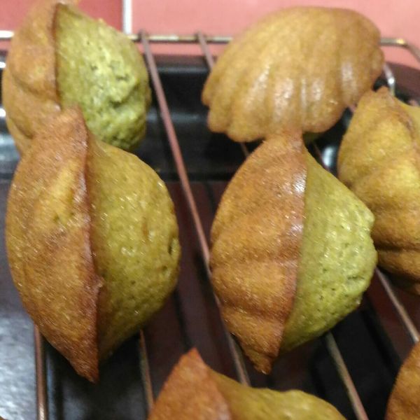 蜂蜜瑪德蓮-原味.可可.抹茶 : 楊雅婷一起做