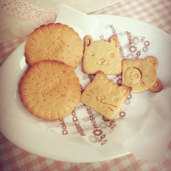 undefined：Snow 一起做