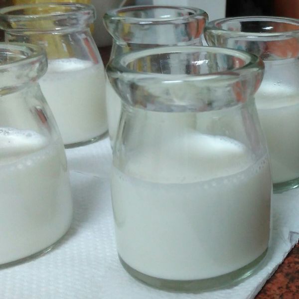 鮮奶酪 : 沁湘晴一起做